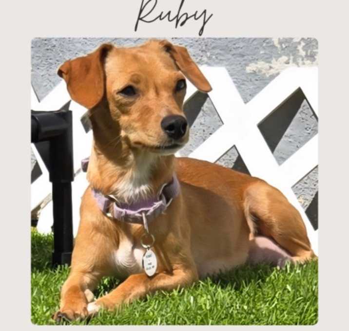 Photo of RUBY