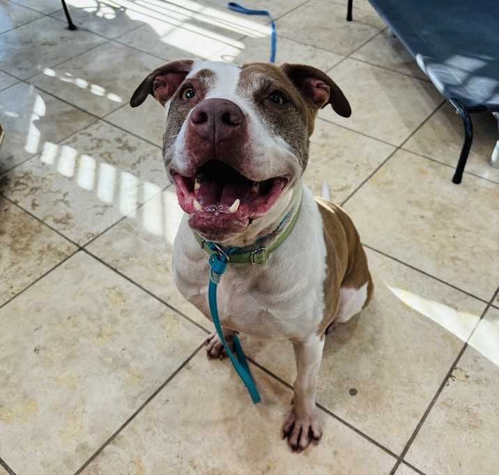 Photo of Bruno