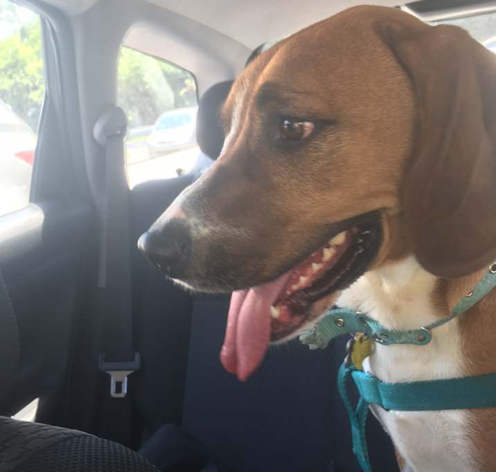 Photo of Sammy