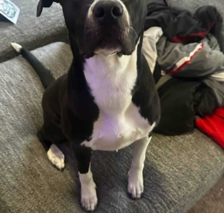 Photo of Baby