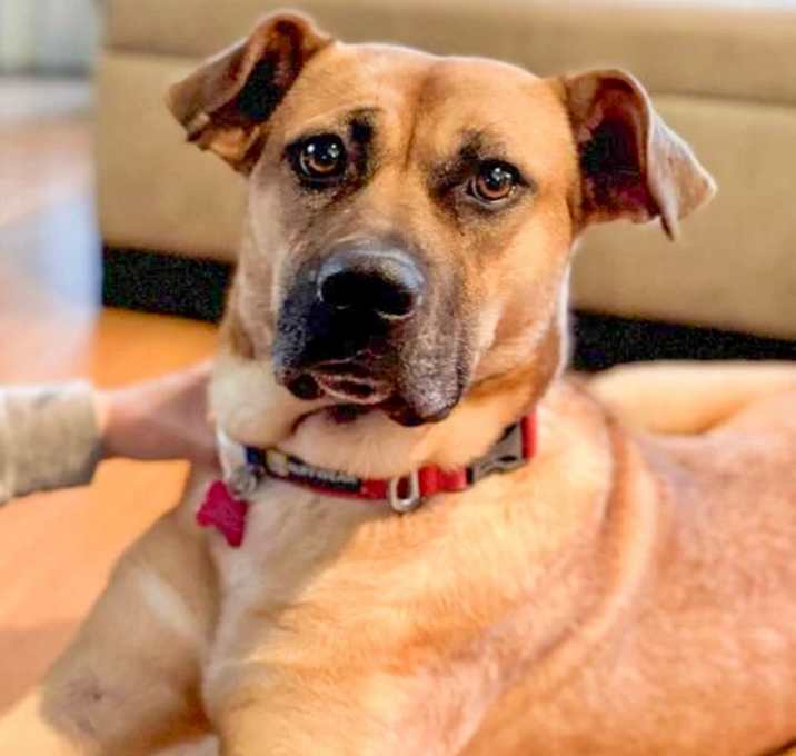 Photo of Mara