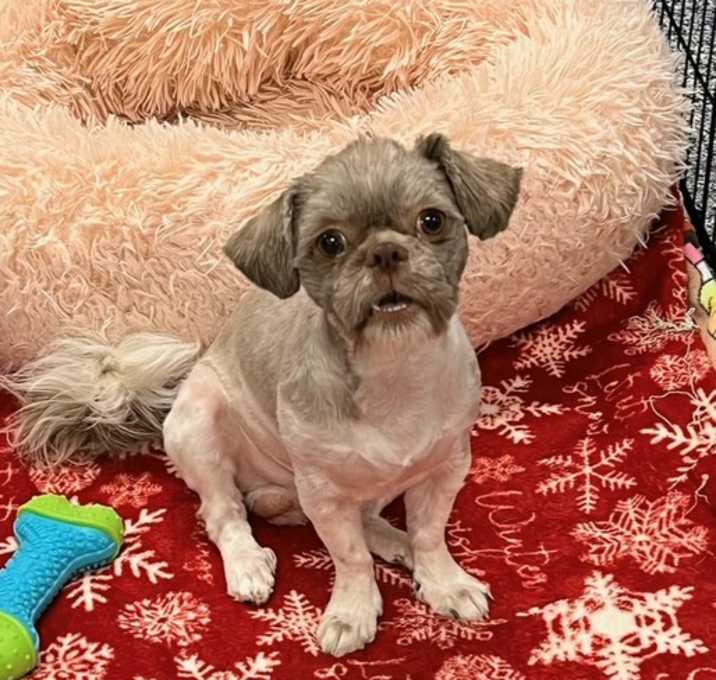 Photo of MILO
