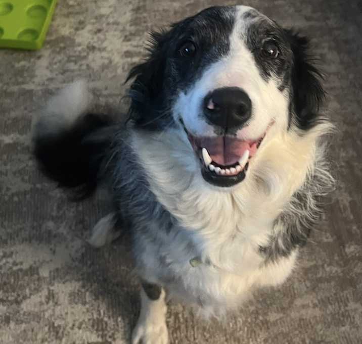 Photo of Blue