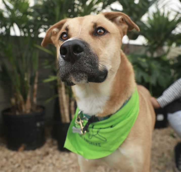 Photo of Simon