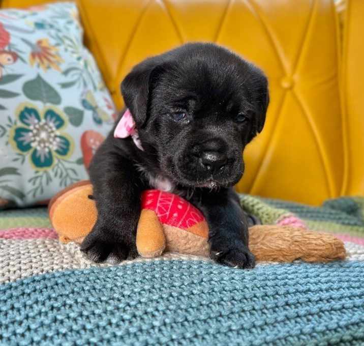 Photo of Aurora Xena