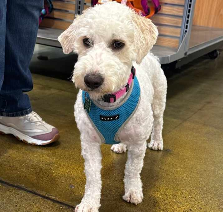 Photo of RITA