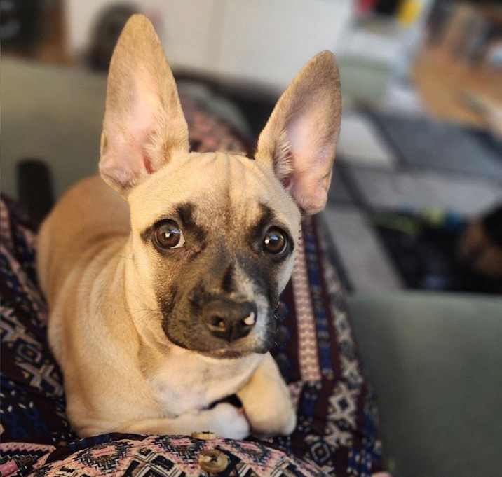 Photo of Nina