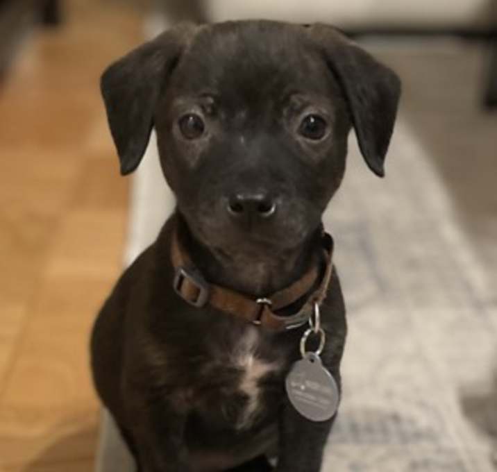 Photo of Storm