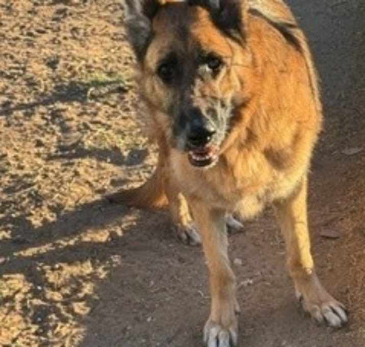 Photo of Baylee