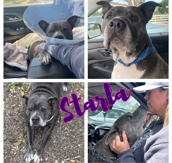 Photo of Starla