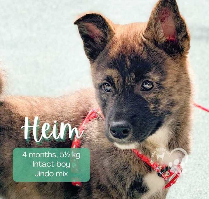 Photo of Heim