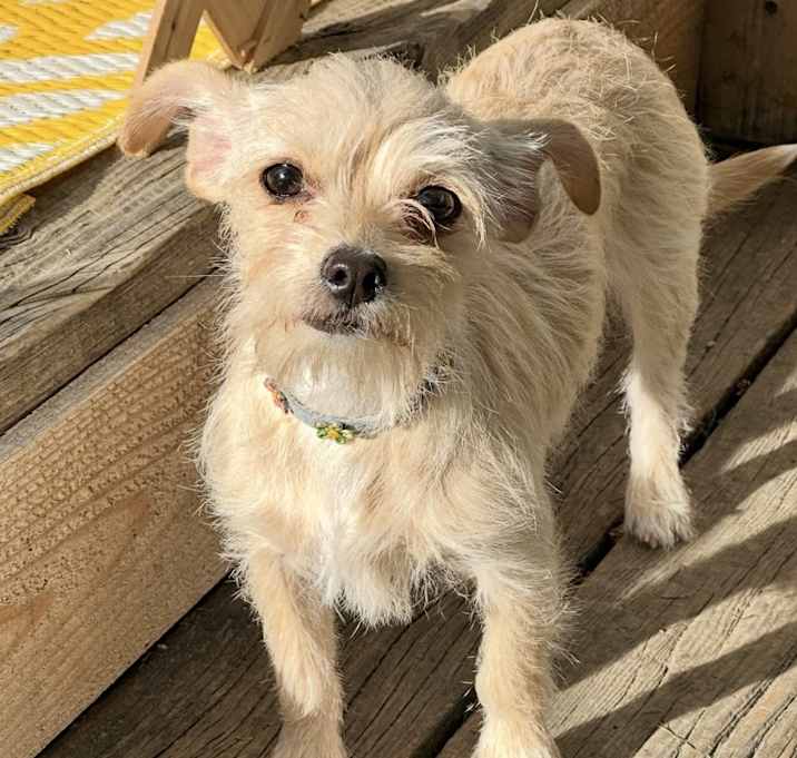 Photo of Chloe
