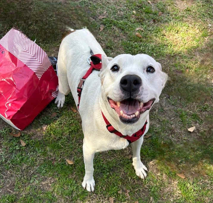 Photo of Annie