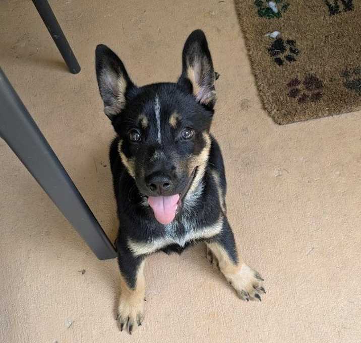 Photo of Fudge
