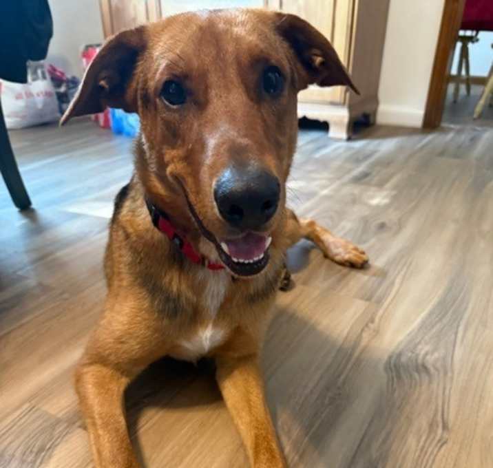 Photo of Charlie
