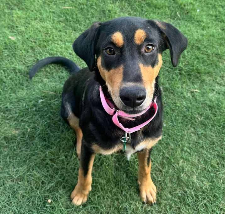 Photo of Lucy