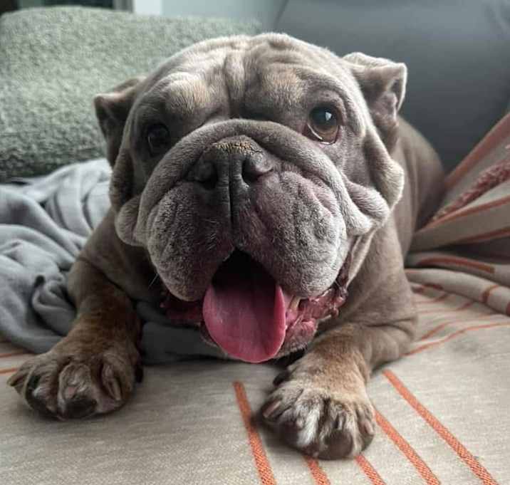 Photo of Gigi