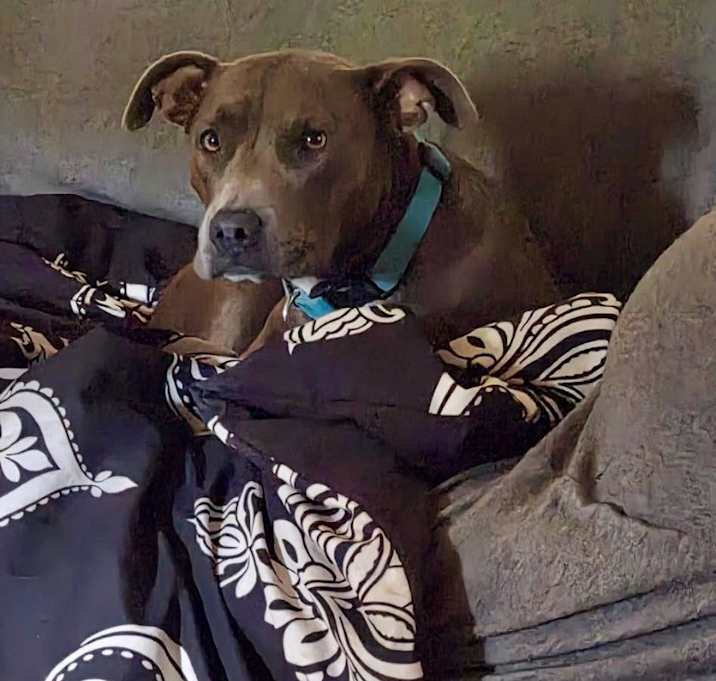 Photo of Millie Jo