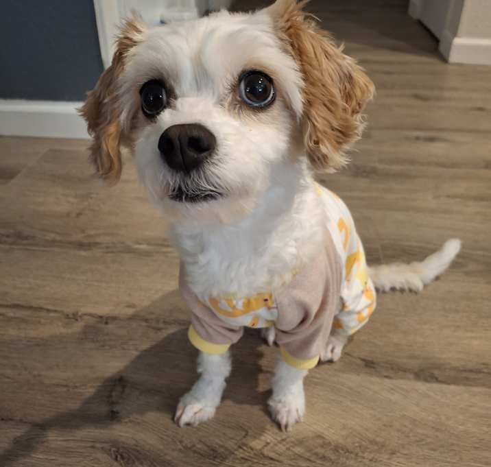 Photo of Chloe