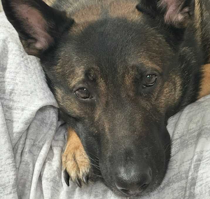 Photo of Thor