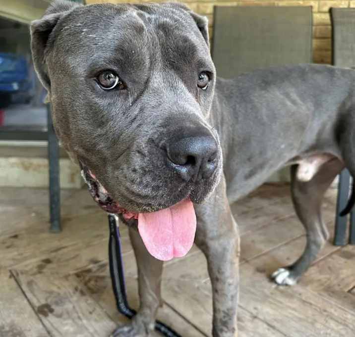 Photo of Dusse