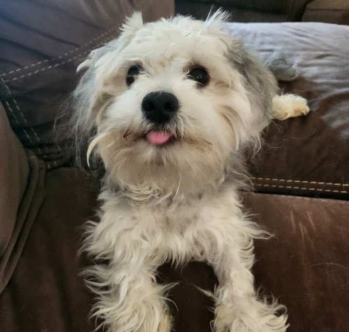 Photo of Ricky