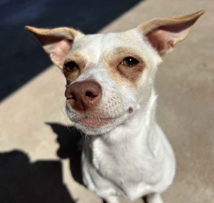 Photo of Remi