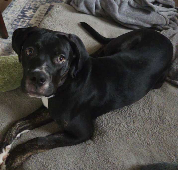 Photo of Max