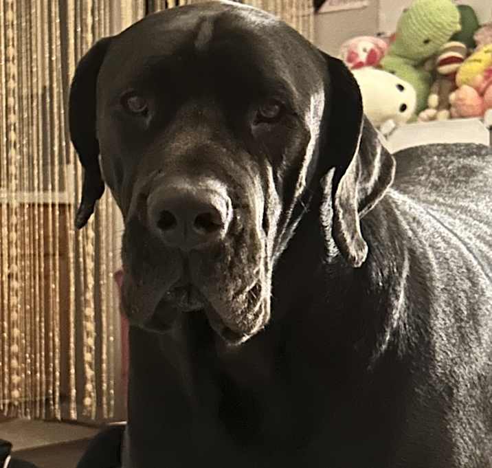 Photo of Tank