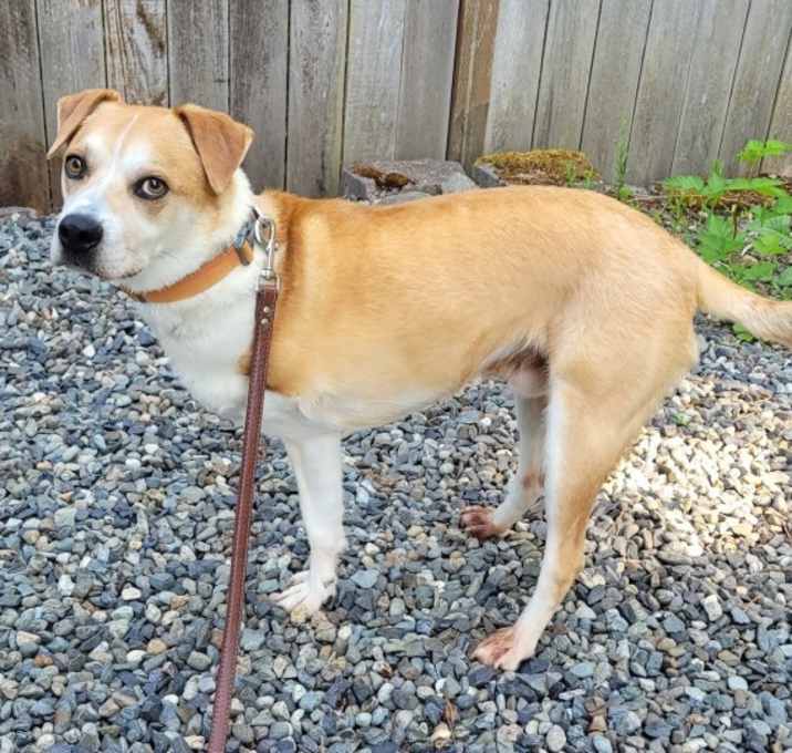 Photo of Duke
