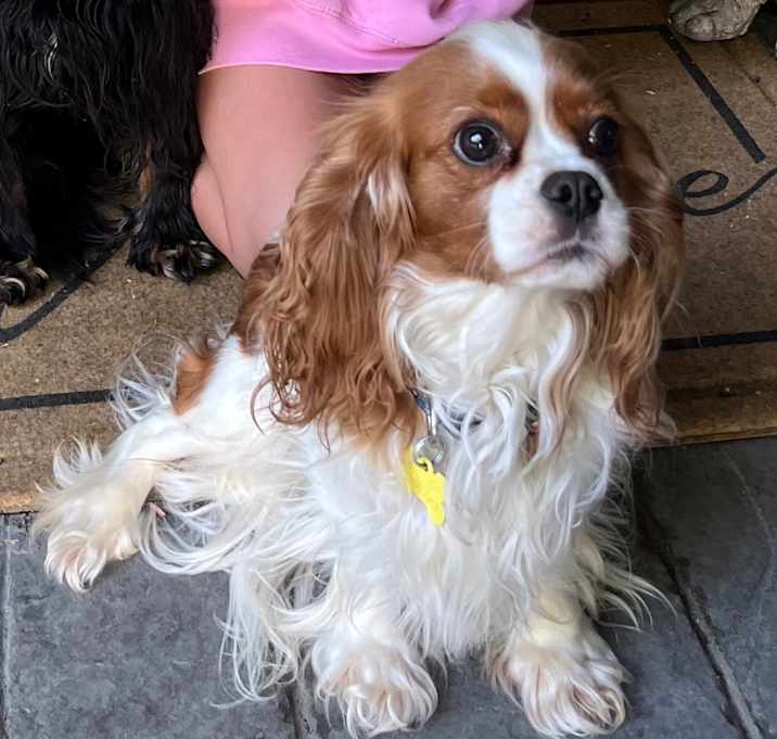 Photo of Libby 