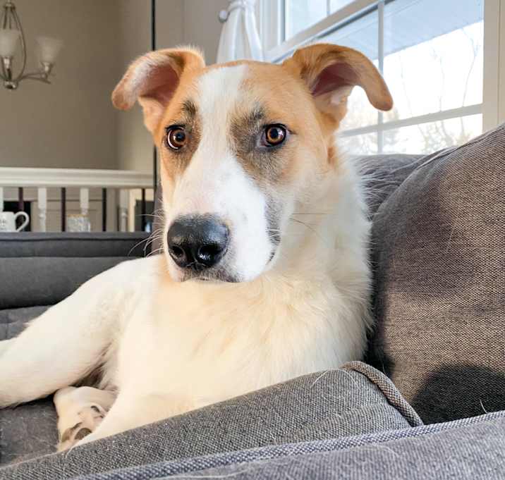 Photo of Clyde