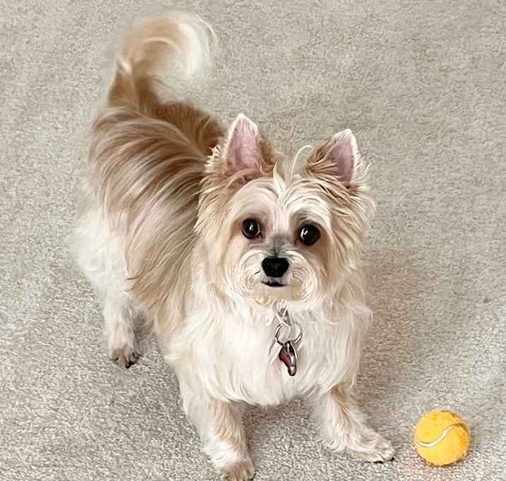 Photo of Maddie