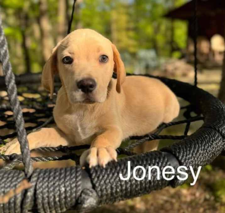 Photo of Jonsey