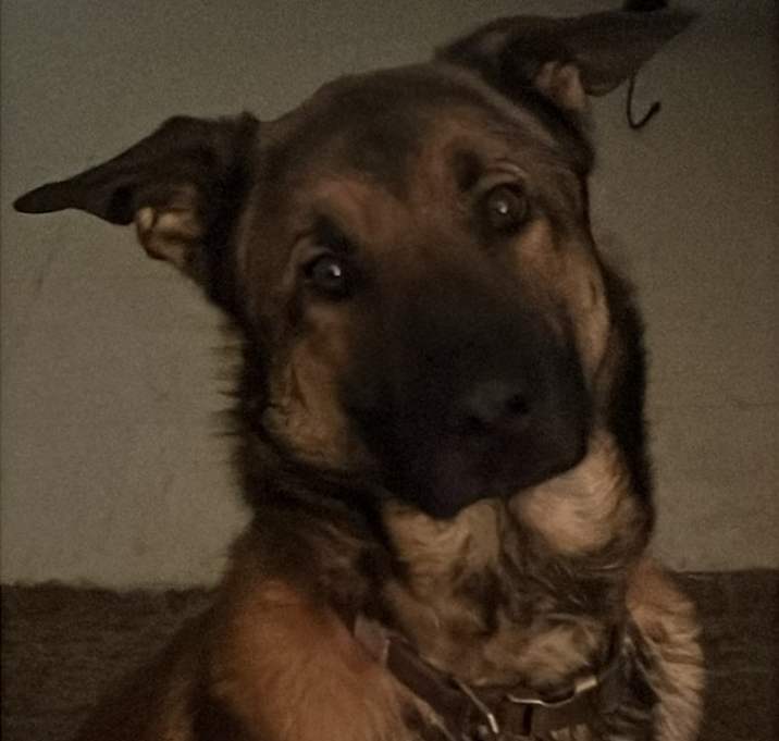 Photo of Leo