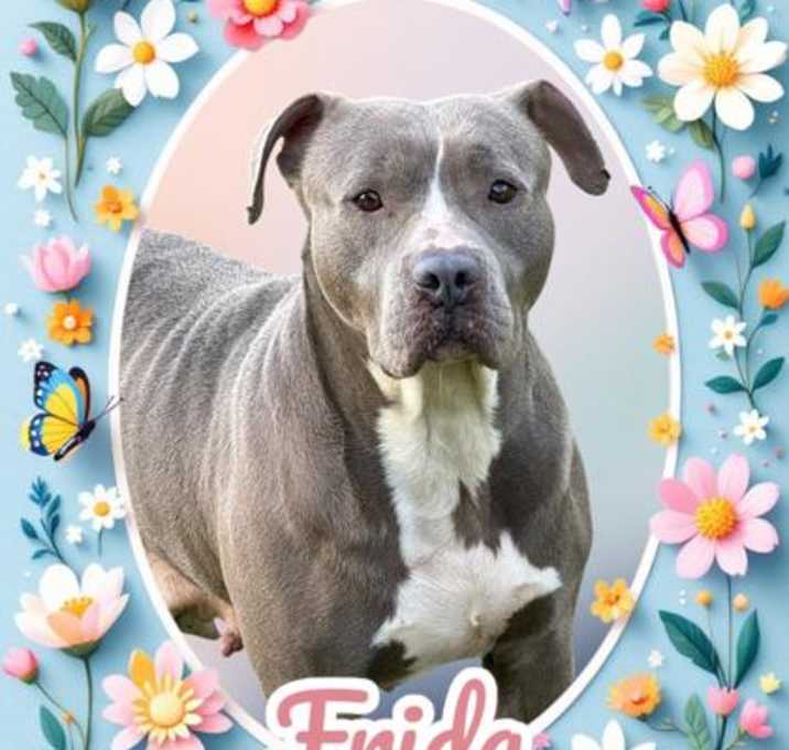 Photo of Frida