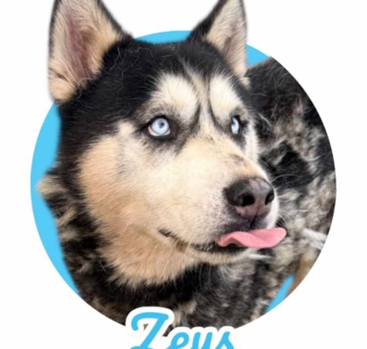 Photo of Zeus