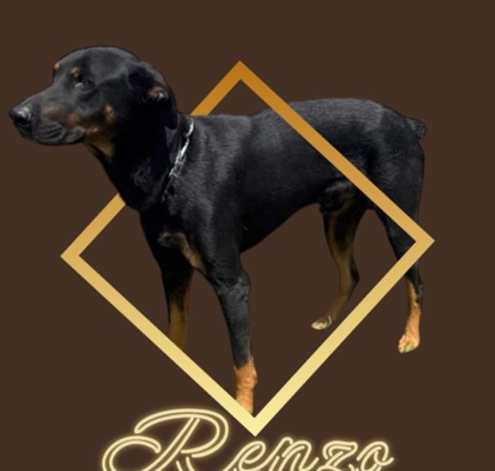 Photo of Renzo