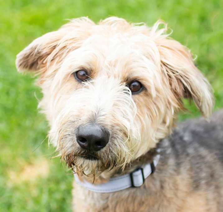 Photo of Pepper