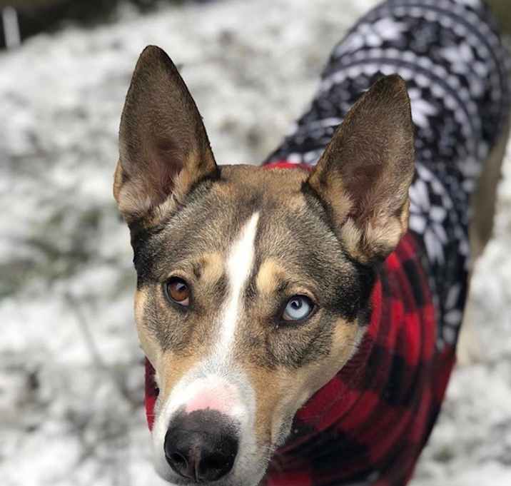Photo of Blu