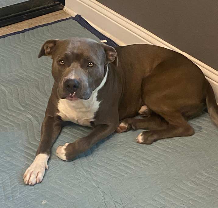 Photo of Percy