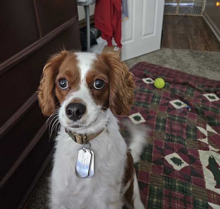 Photo of Carter