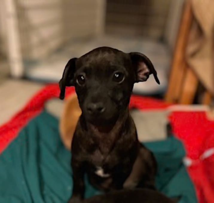 Photo of Kevin