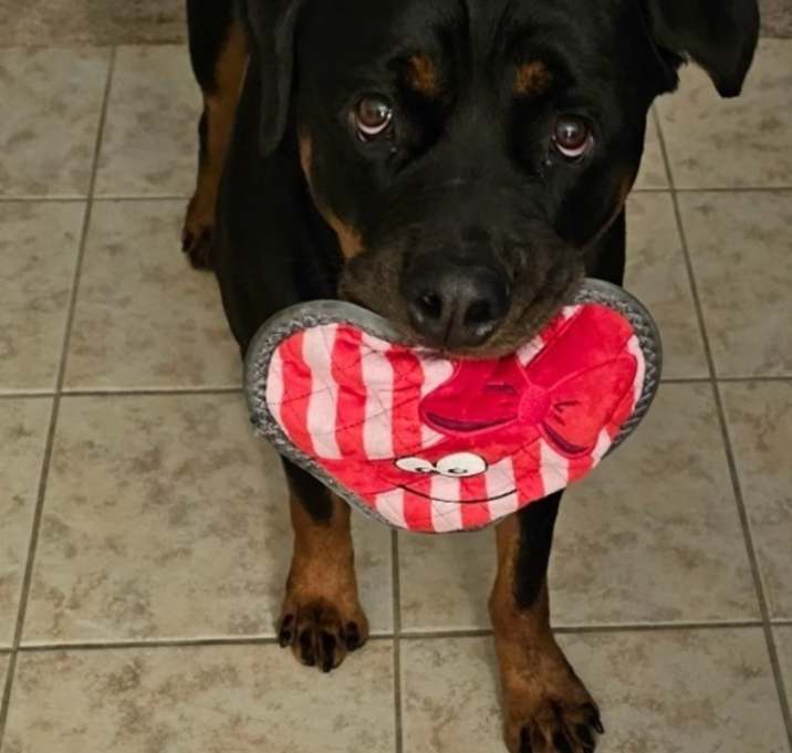 Photo of Amora