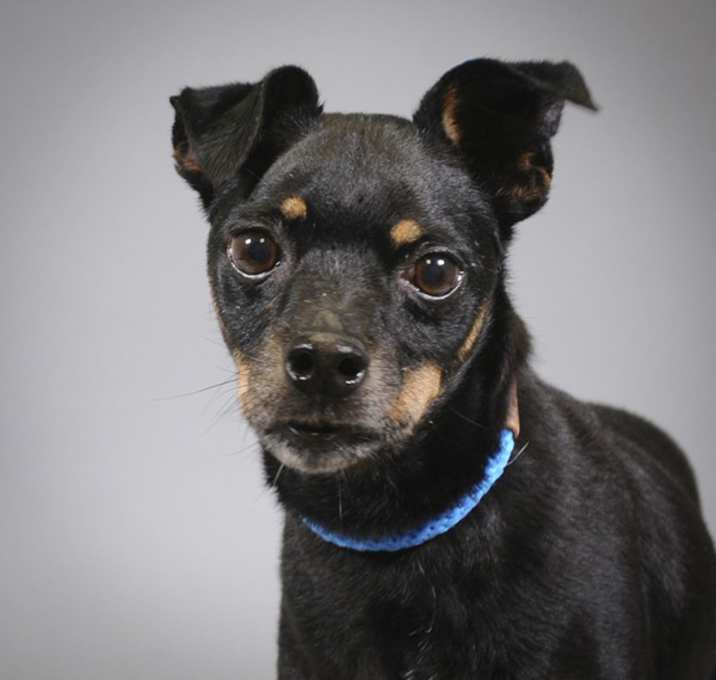 Photo of Jake