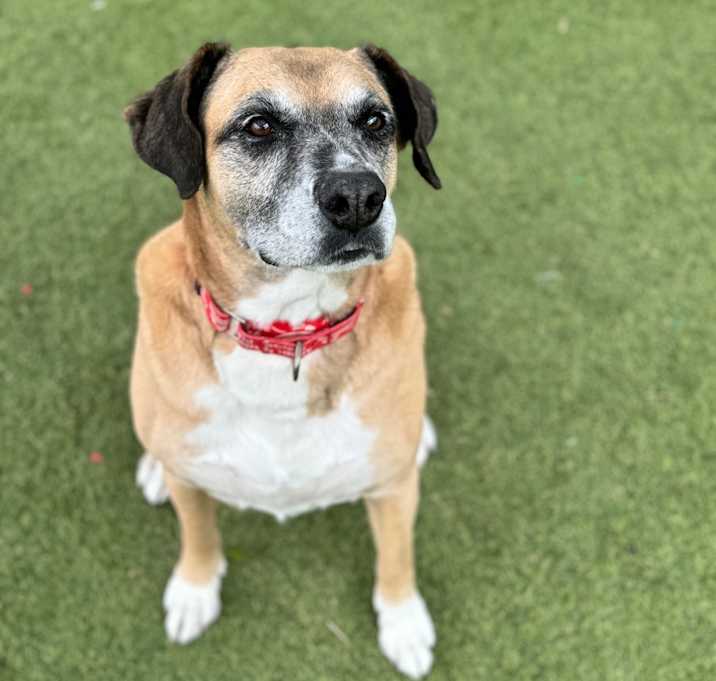 Photo of Scooter