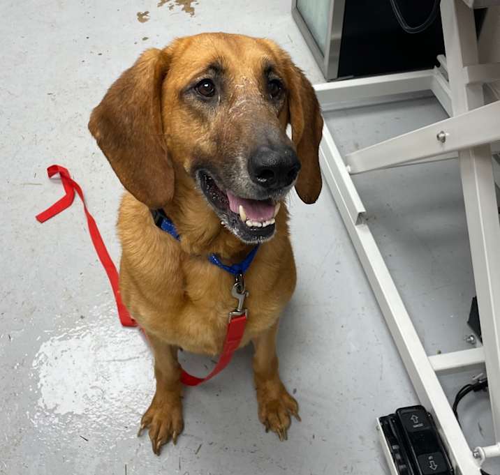 Photo of Lola