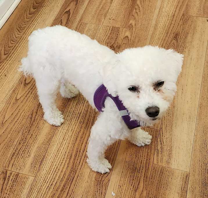 Photo of Maya - MI