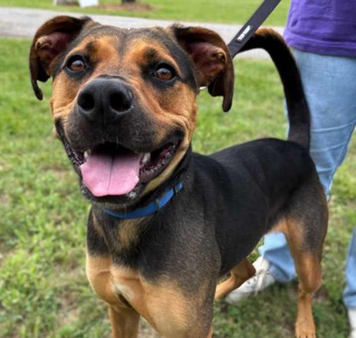 Photo of Whiskey
