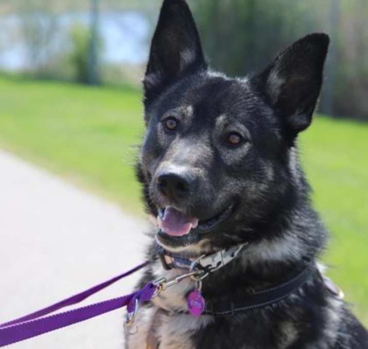 Photo of Charli B Barkin